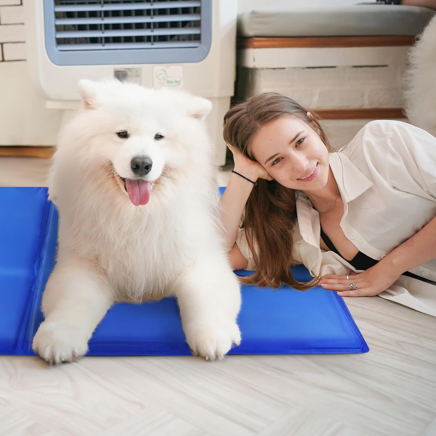 FurDreams Pet Cooling Mat – Waterproof Gel Pillow Pad for Dogs and Cats, – Prevent Overheating and Keep Cool During Summer Rest