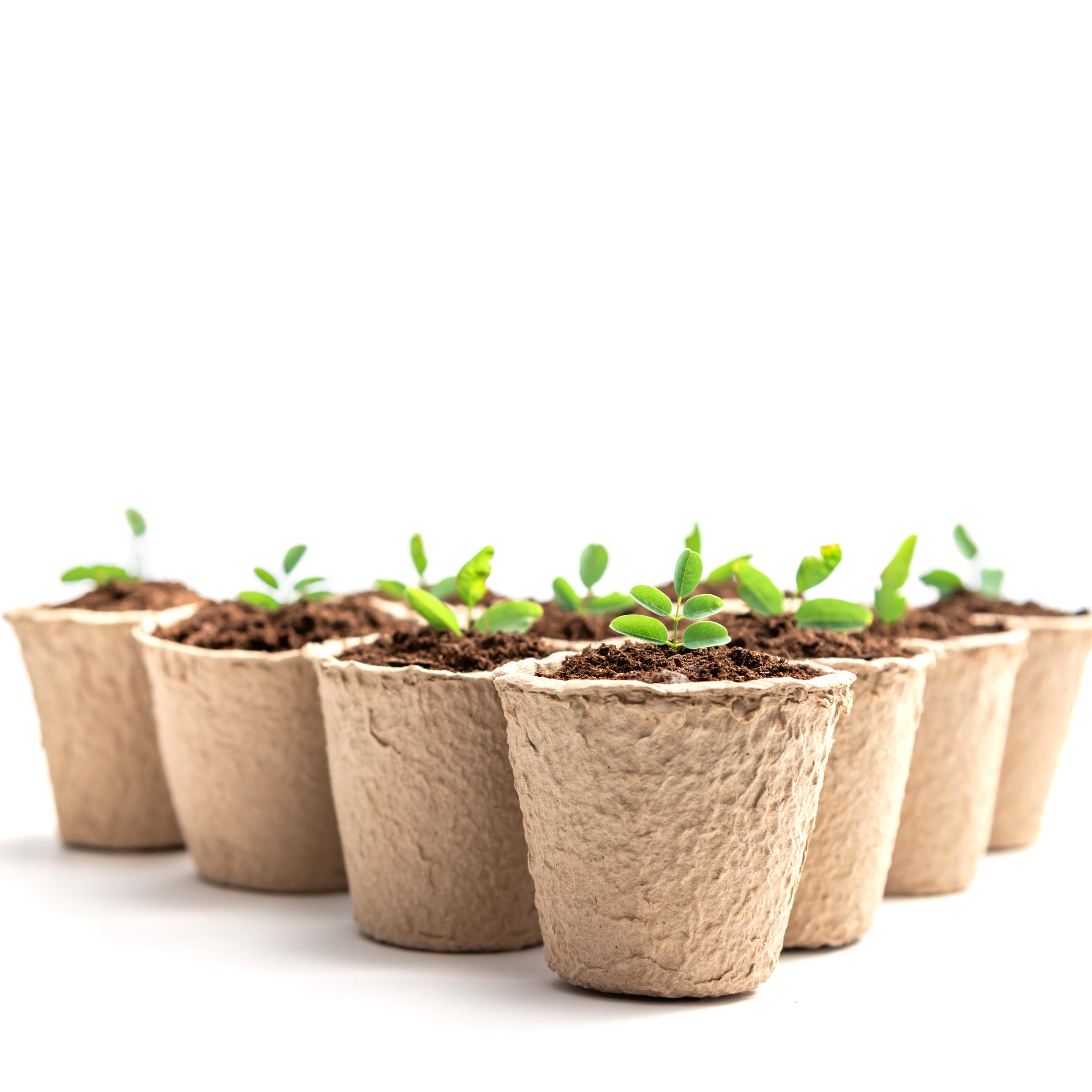 96pc Fibre Plant Pots