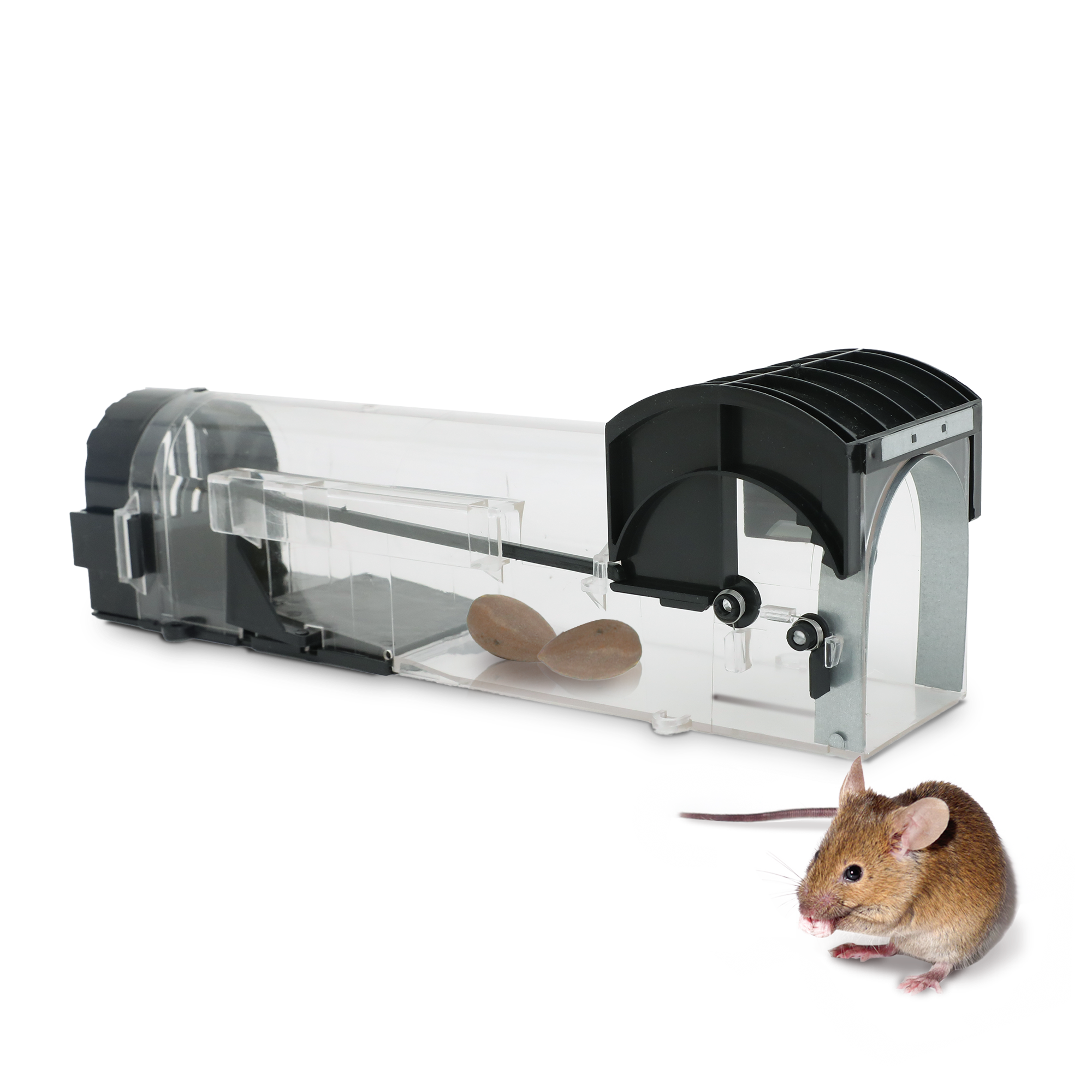 Reusable Humane Mouse Trap