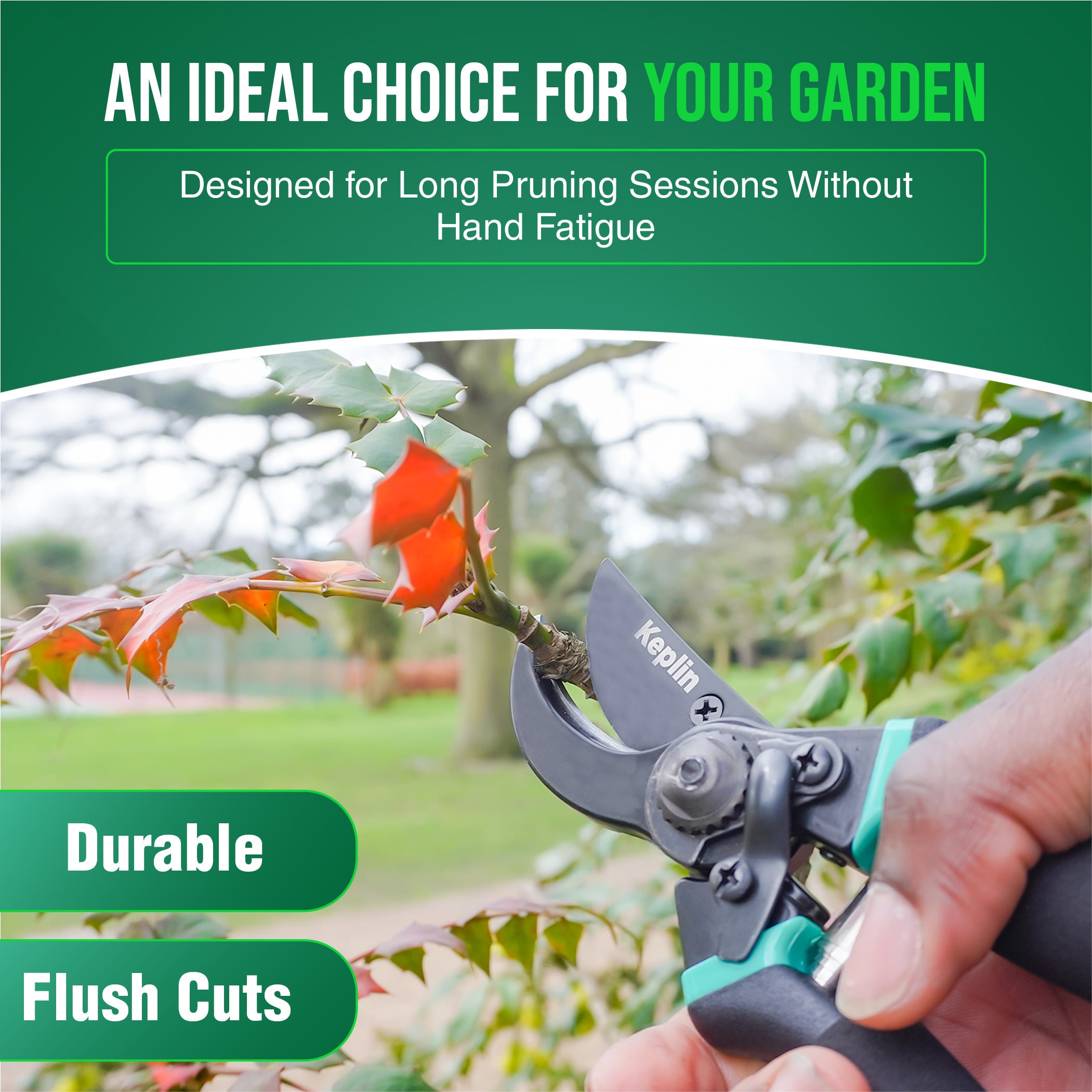 Keplin - 8" Garden Secateurs | Titanium Steel Blades, Drop Forged Aluminum Handles, Non-Slip Grip | Heavy Duty Pruning Shears for Gardening, Tree Branch Cutter with Sap Groove, Rust-Resistant
