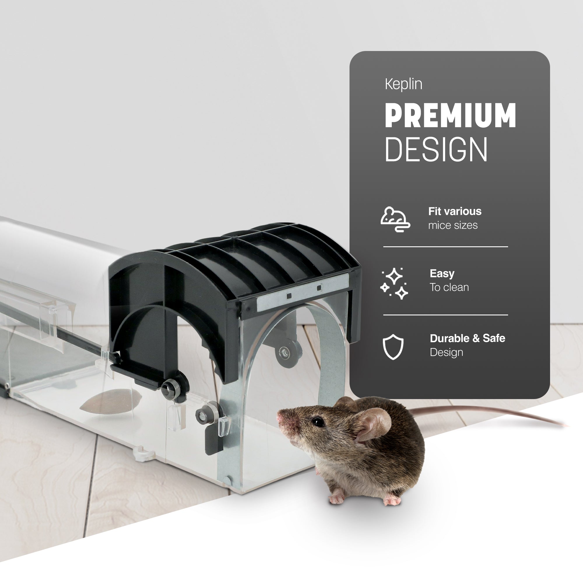 Reusable Humane Mouse Trap