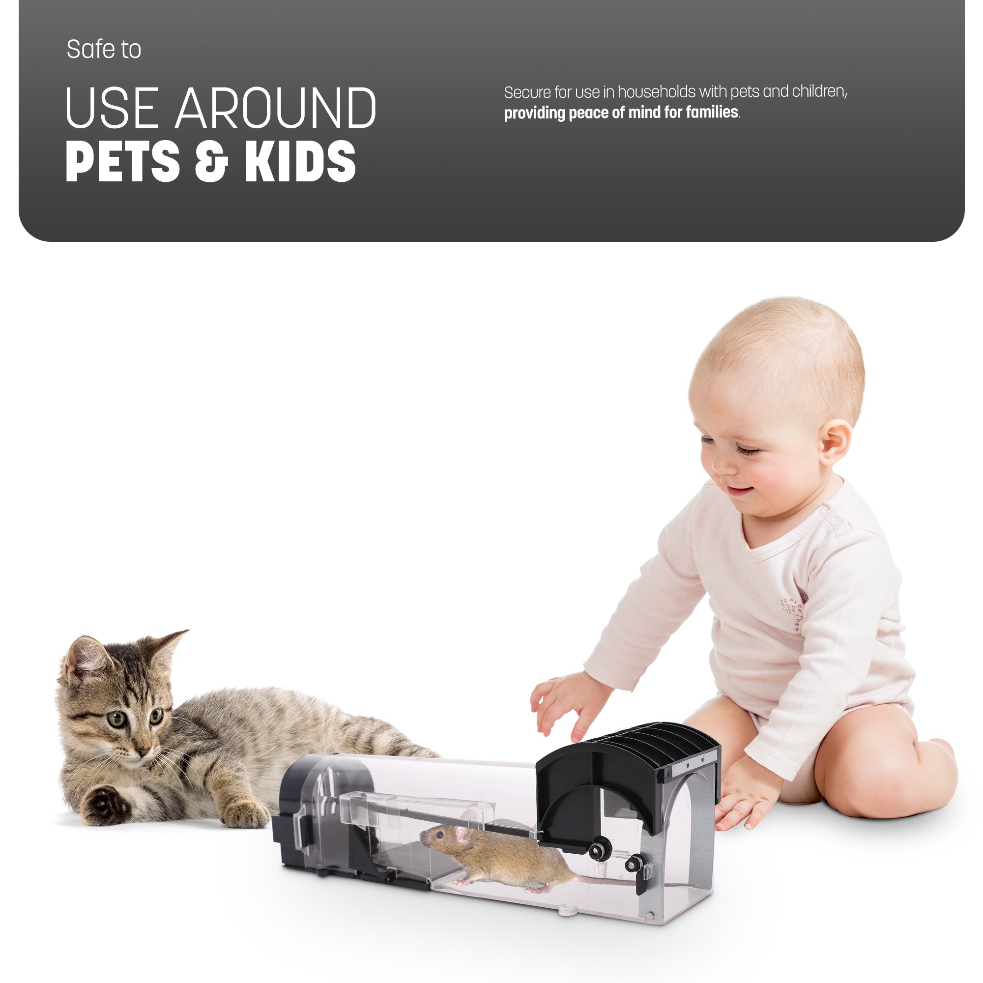 Reusable Humane Mouse Trap