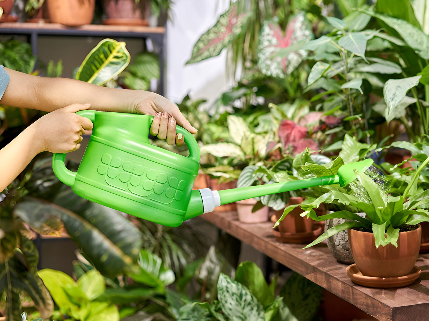 Watering plants in a small balcony garden with a watering can - balcony gardening ideas UK