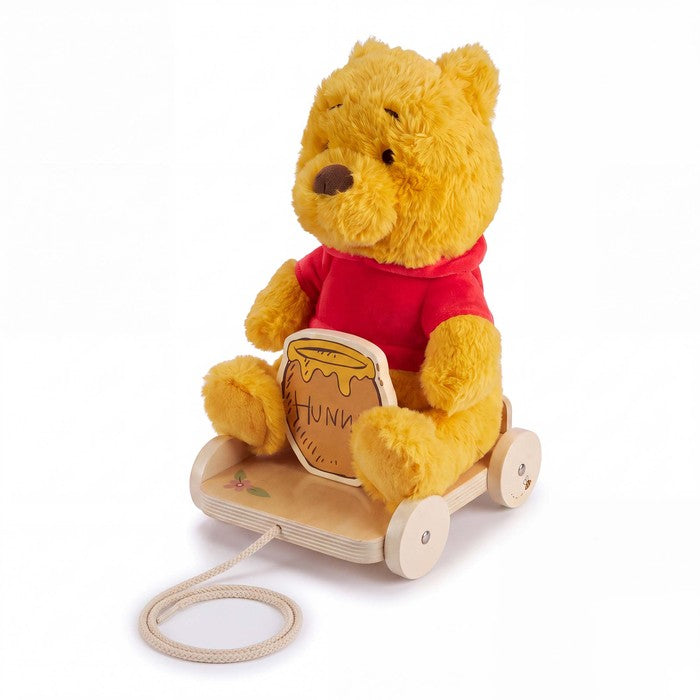 Disney Winnie the Pooh Pull Along Toy with Wooden Wheels & Plush Bear