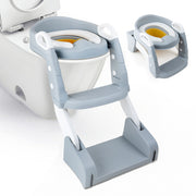 Kidoola 2-in-1 Potty  Ladder