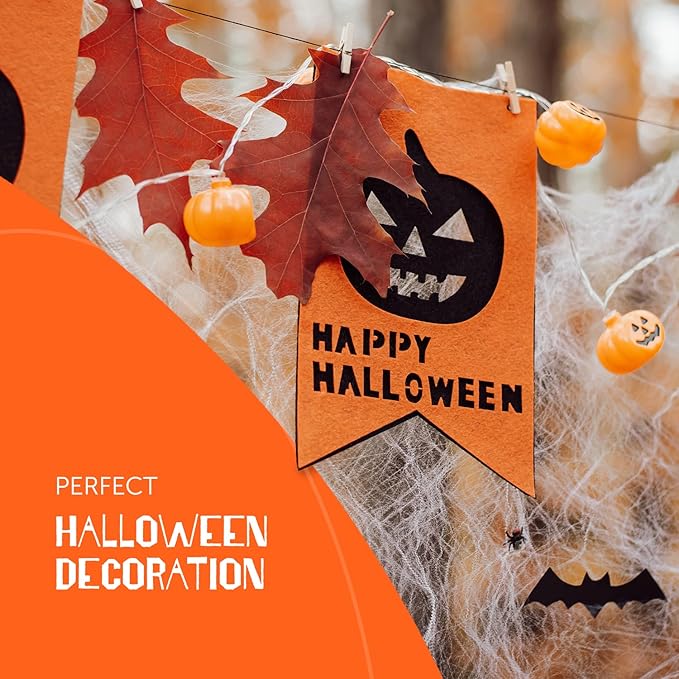 Halloween Spider Web – image 4