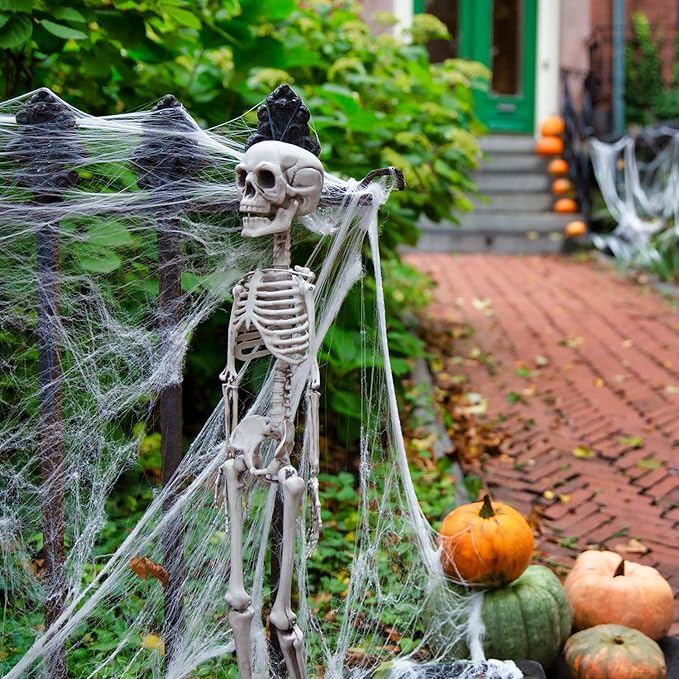 Halloween Spider Web