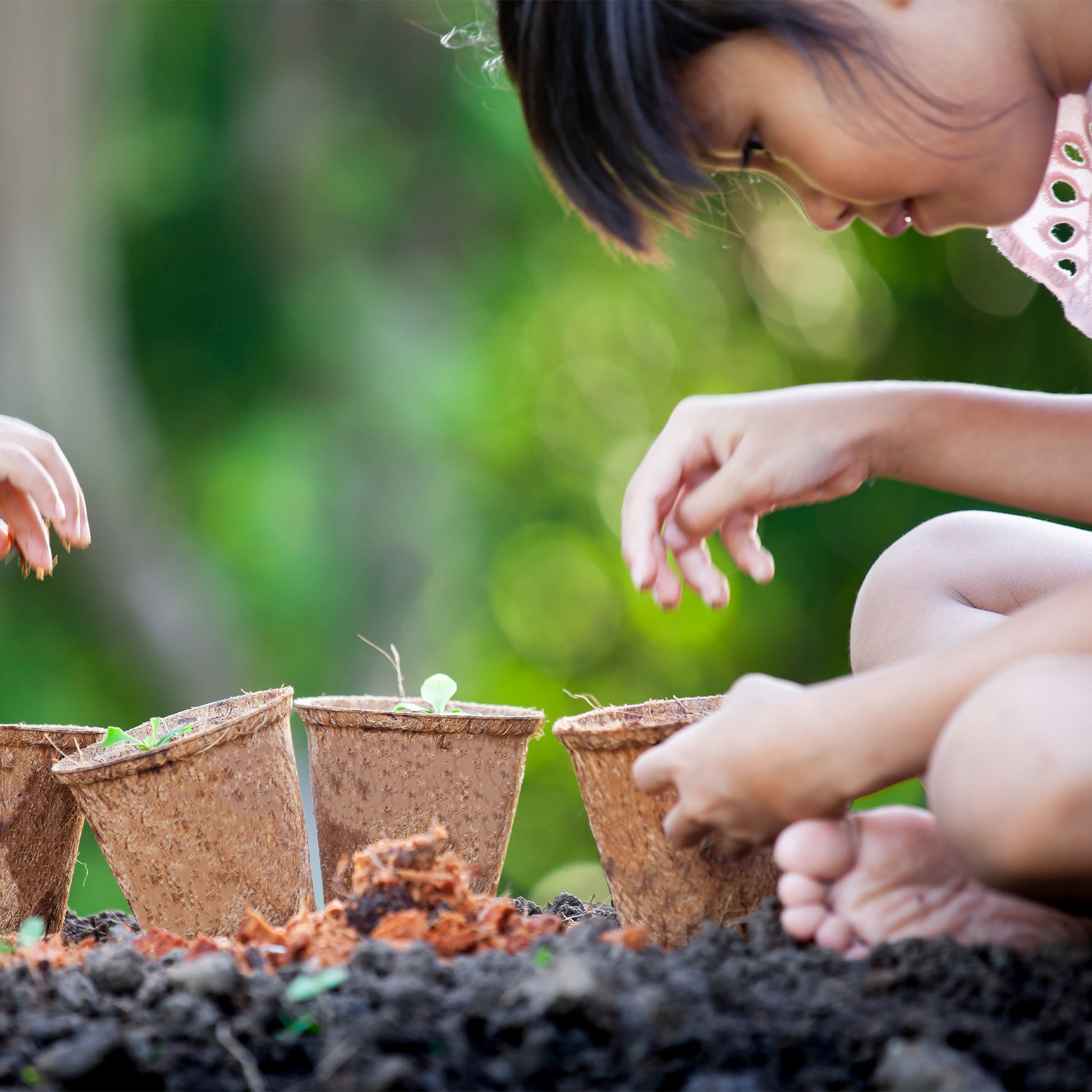 Fibre Plant Pots 96 Pack - Biodegradable Seedling & Planting Pots – image 2