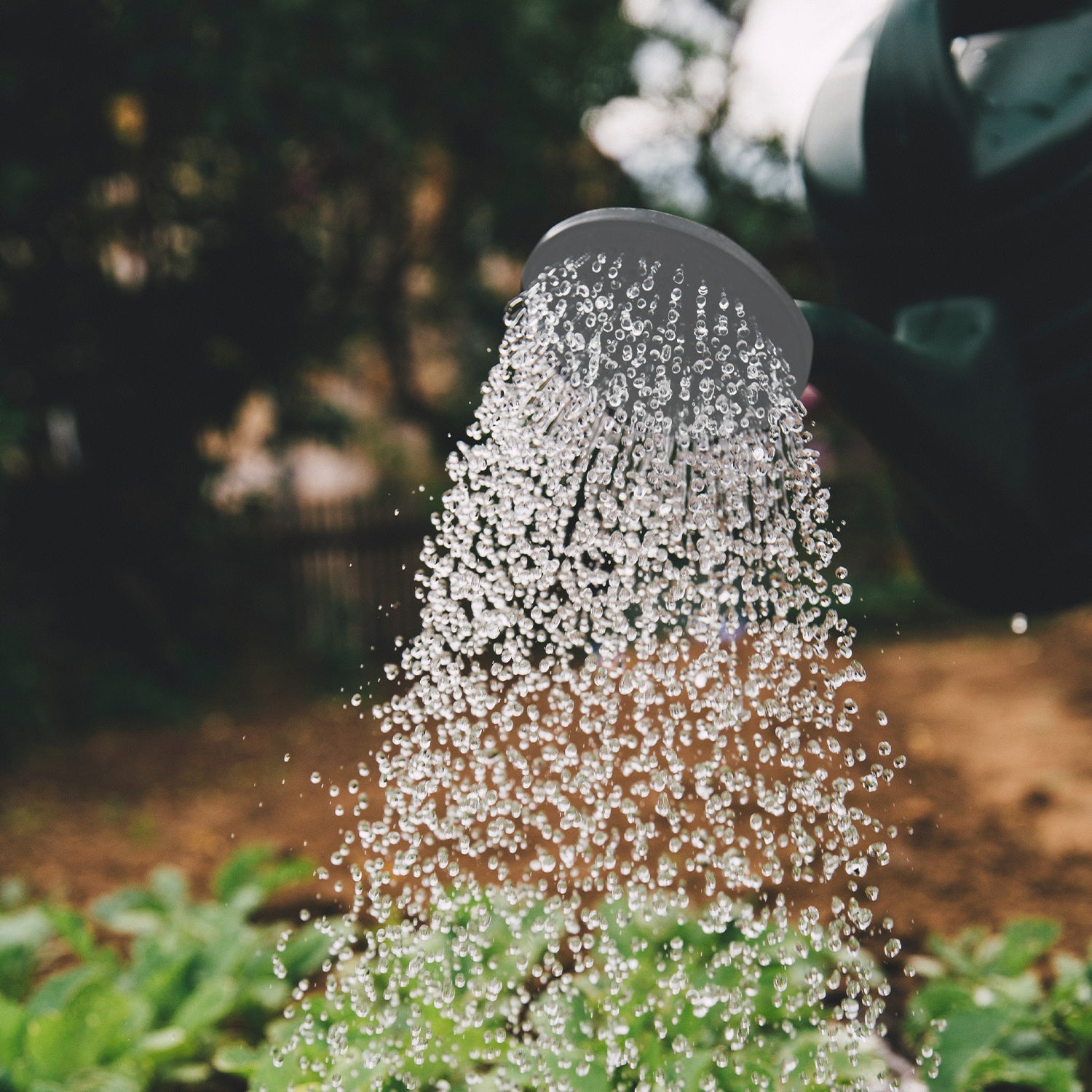 Garden Plastic Watering Can with Sprinkler Head – image 2