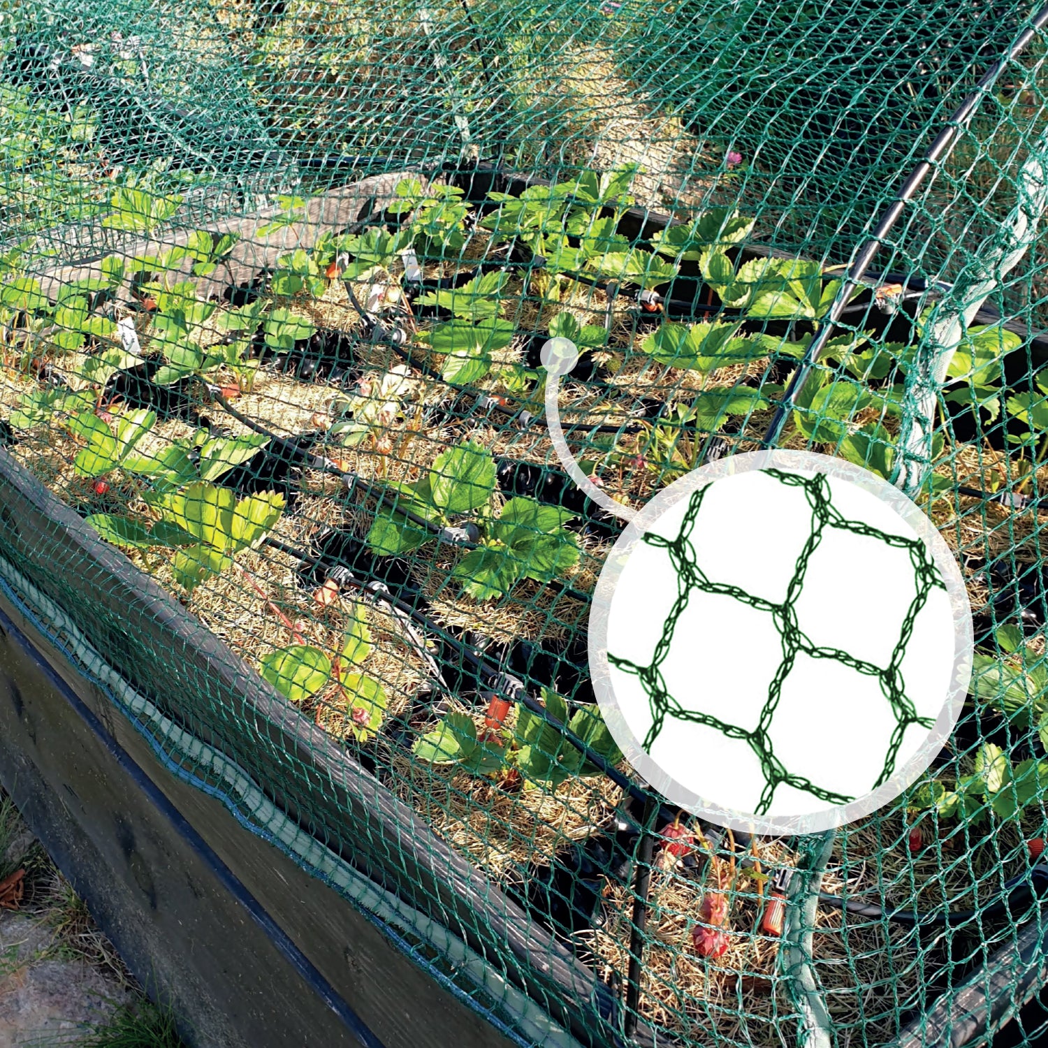 Secure Your Garden: Netting Kit with Tie Cables - UK