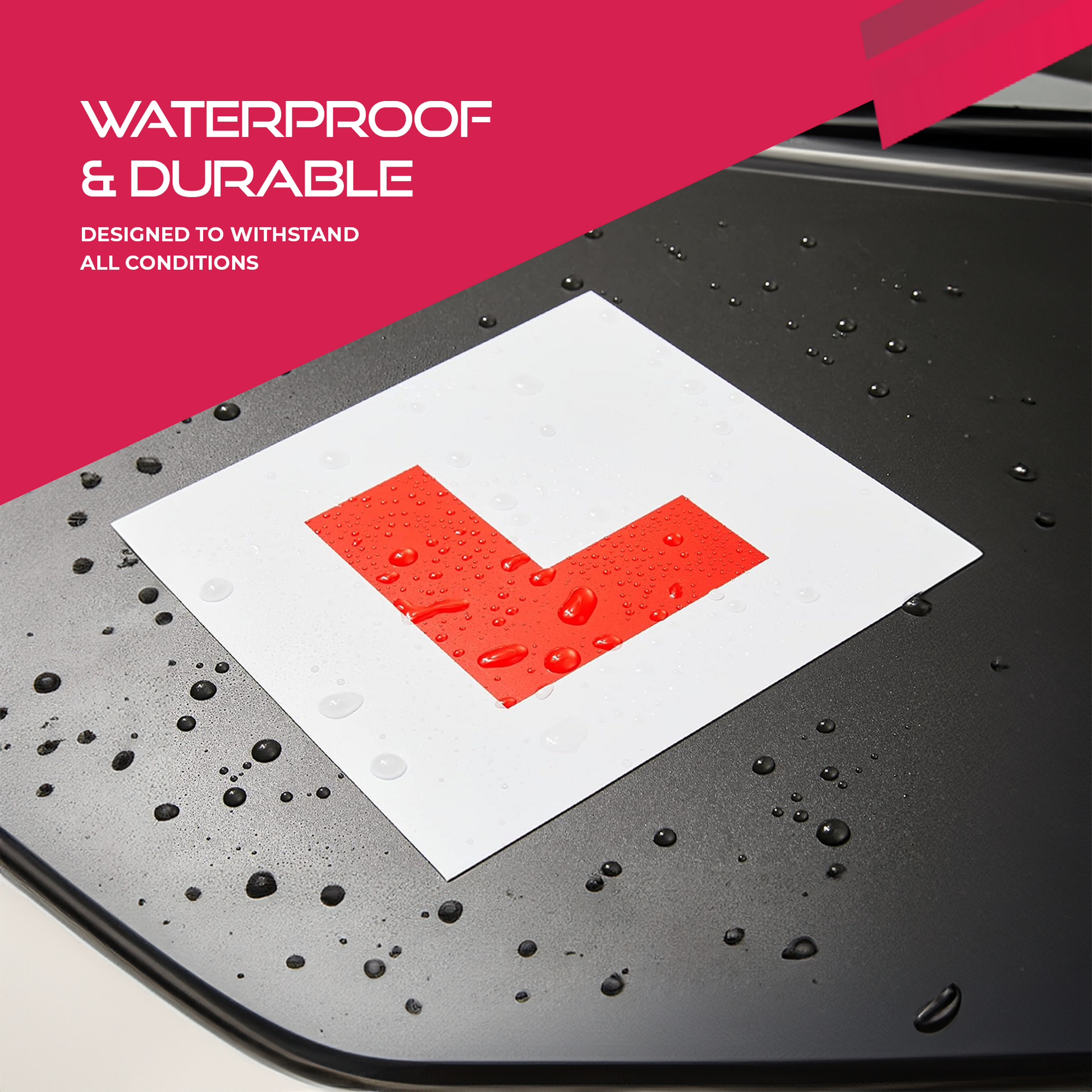 Magnetic L & P Plates for Car – image 13