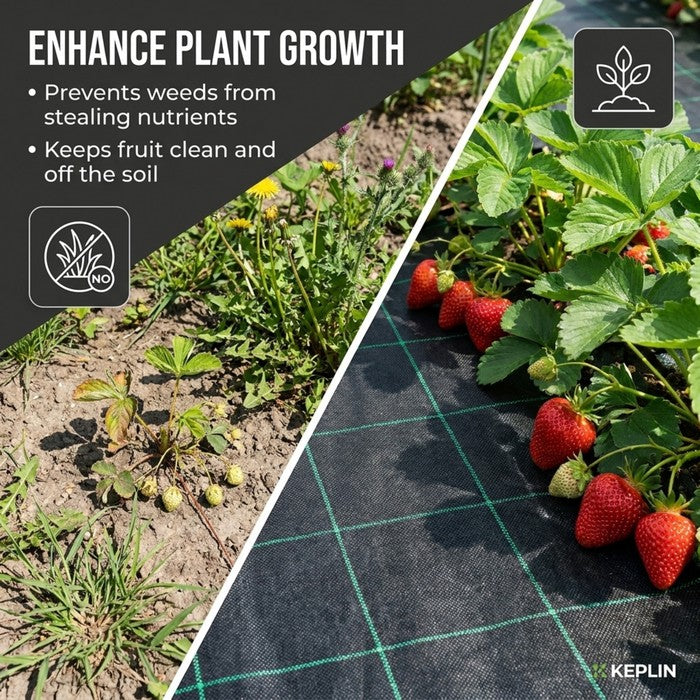 Heavy Duty Weed Control Membrane