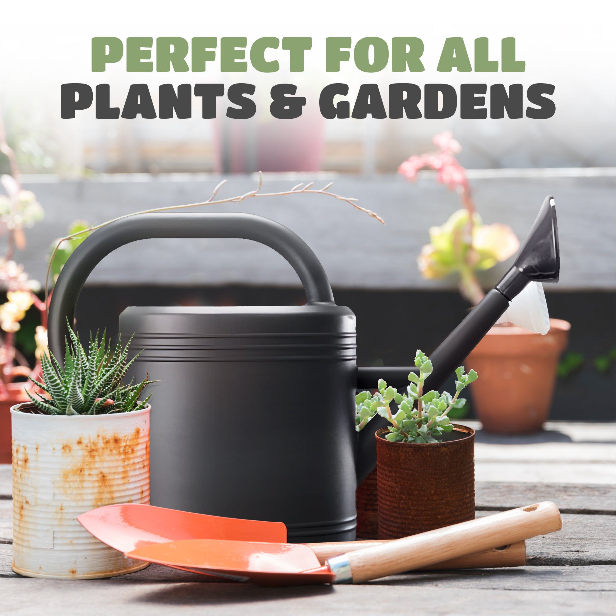 5L Plastic Watering Can with Stainless Steel Sprinkler Rose