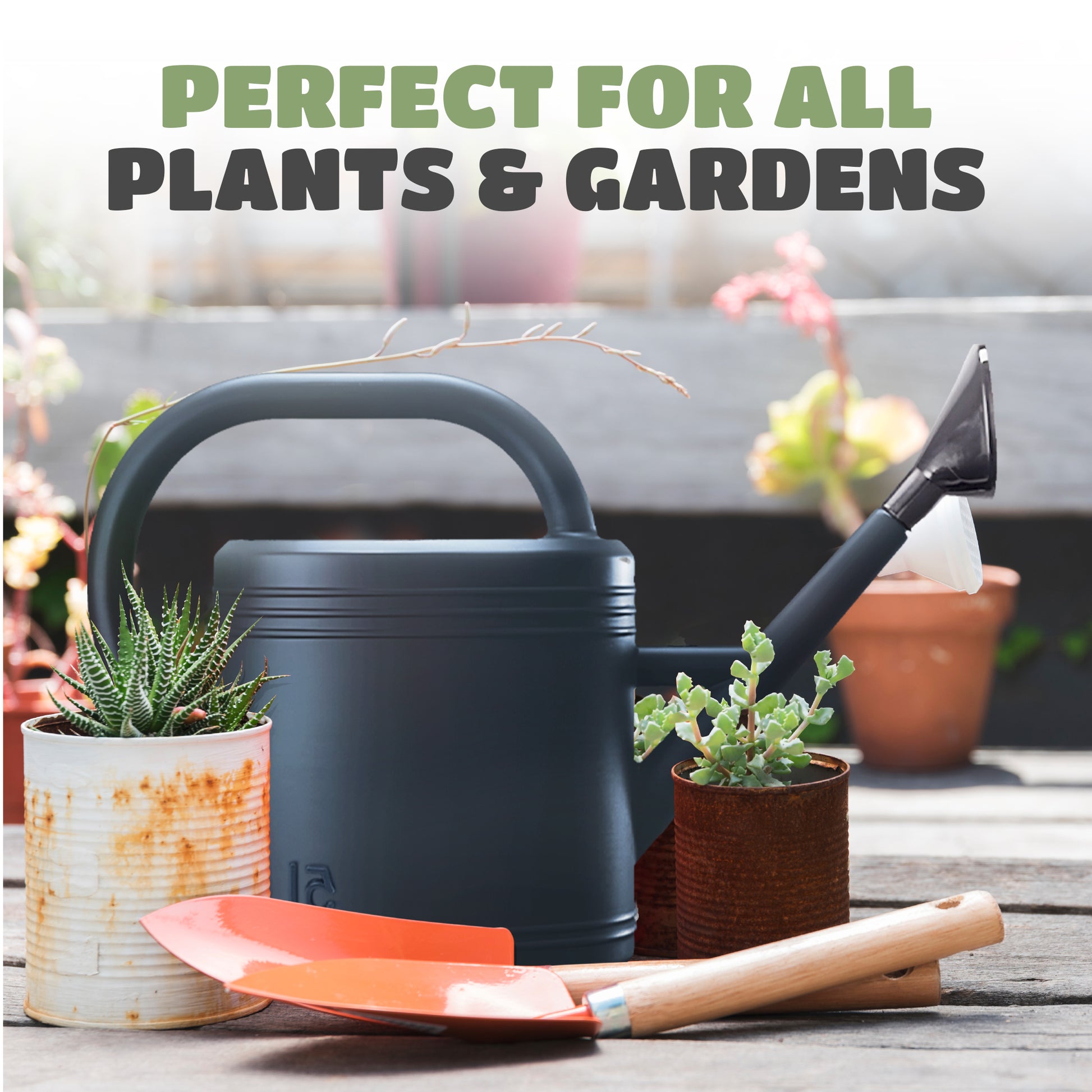 5L Plastic Watering Can with Stainless Steel Sprinkler Rose