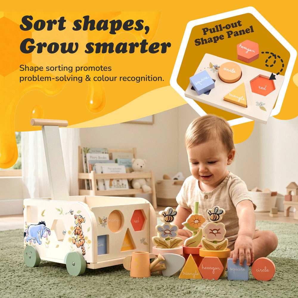 Winnie the Pooh pull along shape sorter — wooden shapes and slots close-up