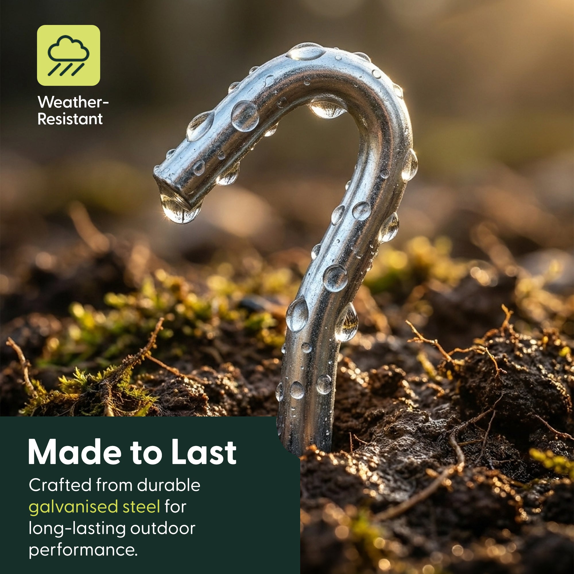 Close-up of a rust-free galvanised steel tent peg driven into wet soil