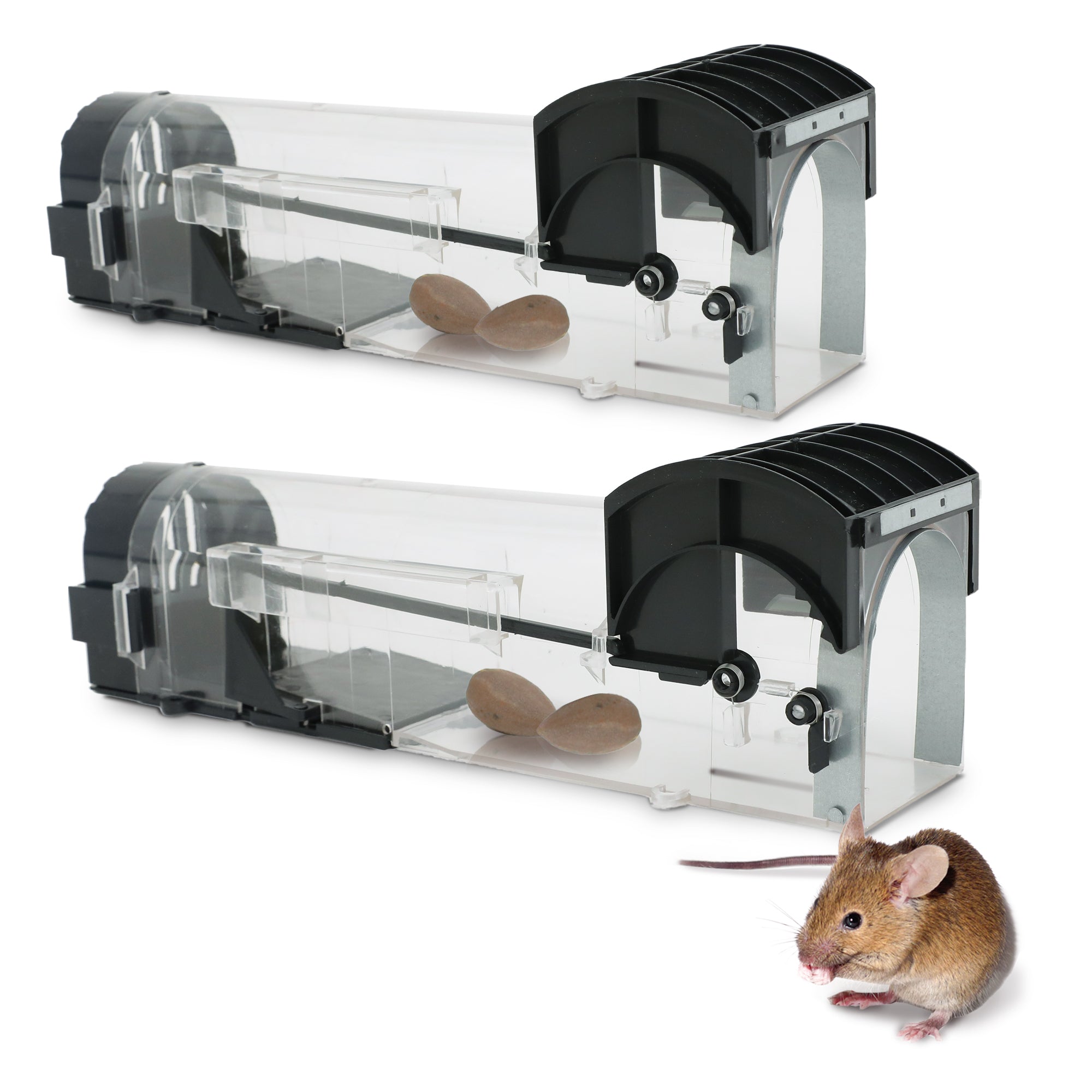 Reusable Humane Mouse Trap