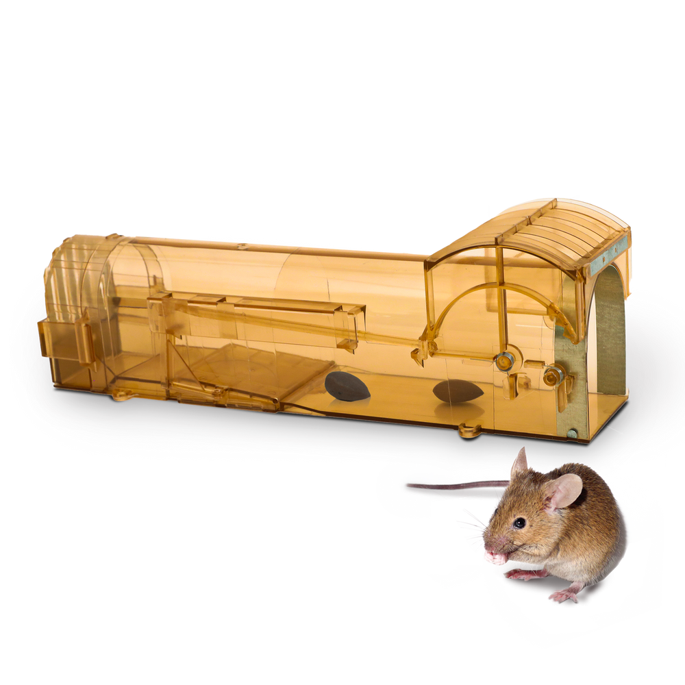 Reusable Humane Mouse Trap