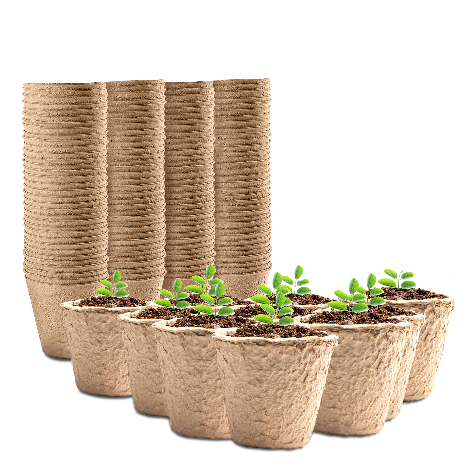 Fibre Plant Pots 96 Pack - Biodegradable Seedling & Planting Pots