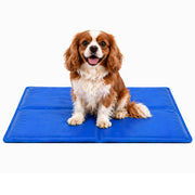 FurDreams Plain Pet Cooling Mat for Dogs Cats Medium