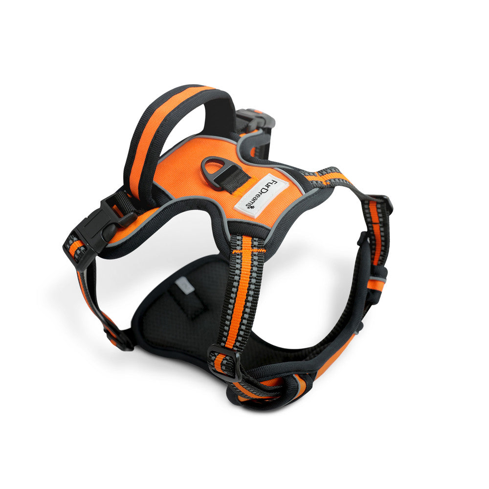 FurDreams Secure Padded Dog Harness – Comfortable No-Choke Vest with Reflective Strips, Non-Restrictive Fit, 4 Adjustable Straps, and Easy Clip-On Design – image 26