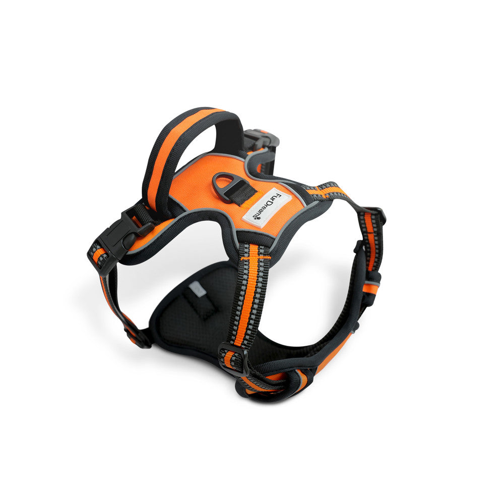 FurDreams Secure Padded Dog Harness – Comfortable No-Choke Vest with Reflective Strips, Non-Restrictive Fit, 4 Adjustable Straps, and Easy Clip-On Design – image 25