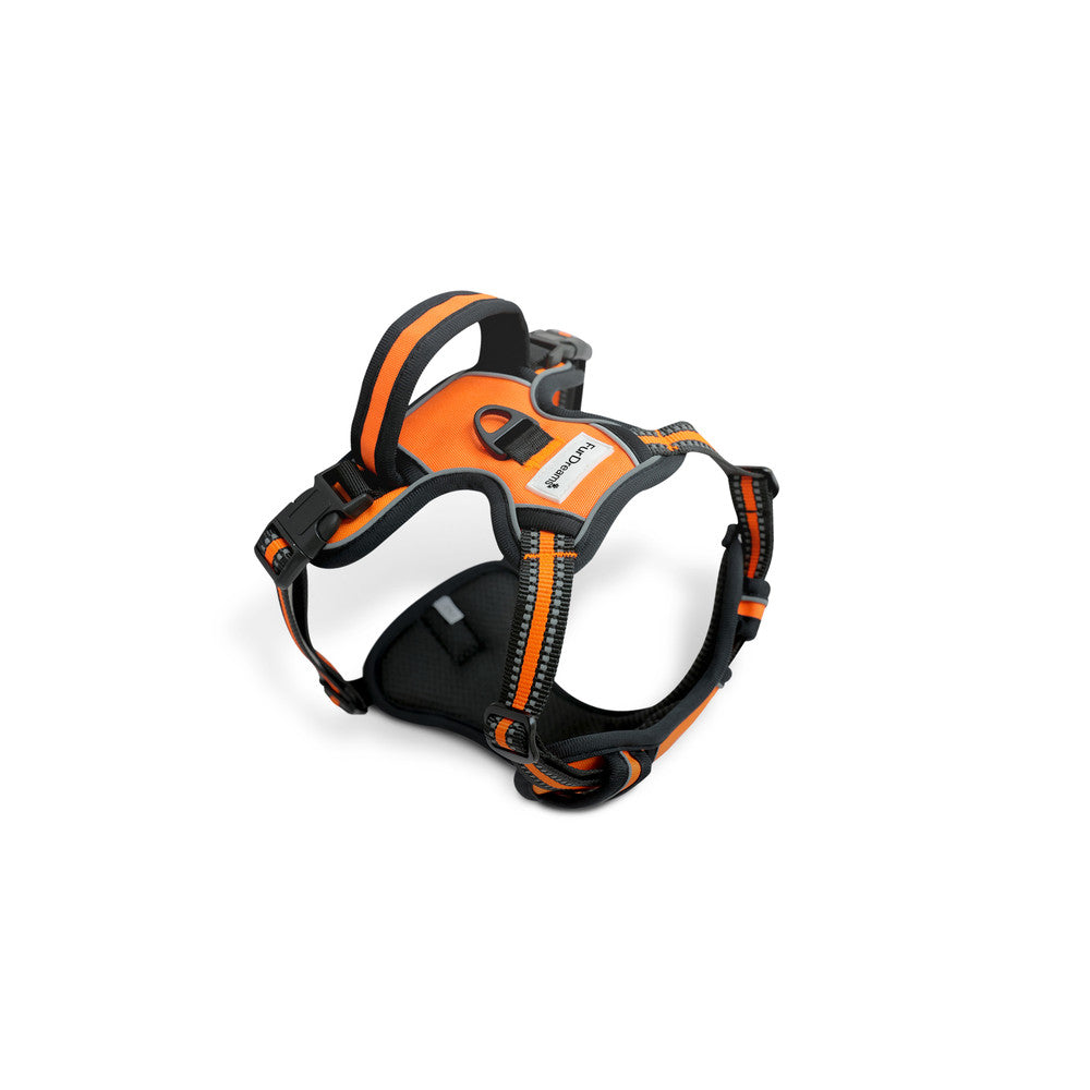 FurDreams Secure Padded Dog Harness – Comfortable No-Choke Vest with Reflective Strips, Non-Restrictive Fit, 4 Adjustable Straps, and Easy Clip-On Design – image 24