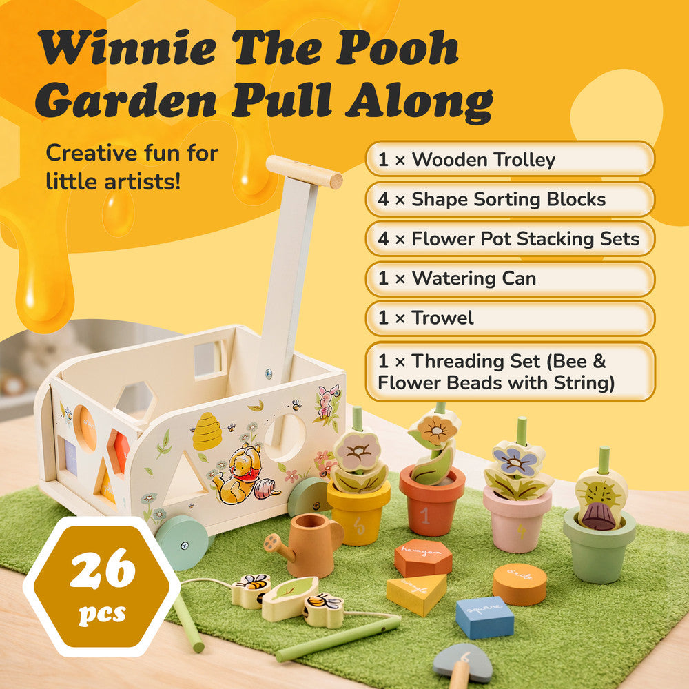 Wooden pull along shape sorter with Winnie the Pooh design — front view
