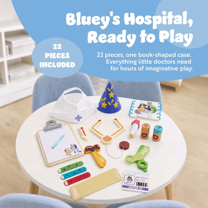 Bluey - Hospital Roleplay Book