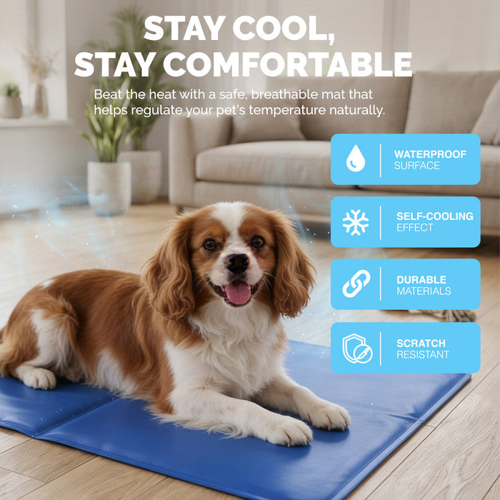 FurDreams Plain Pet Cooling Mat for Dogs Cats Medium