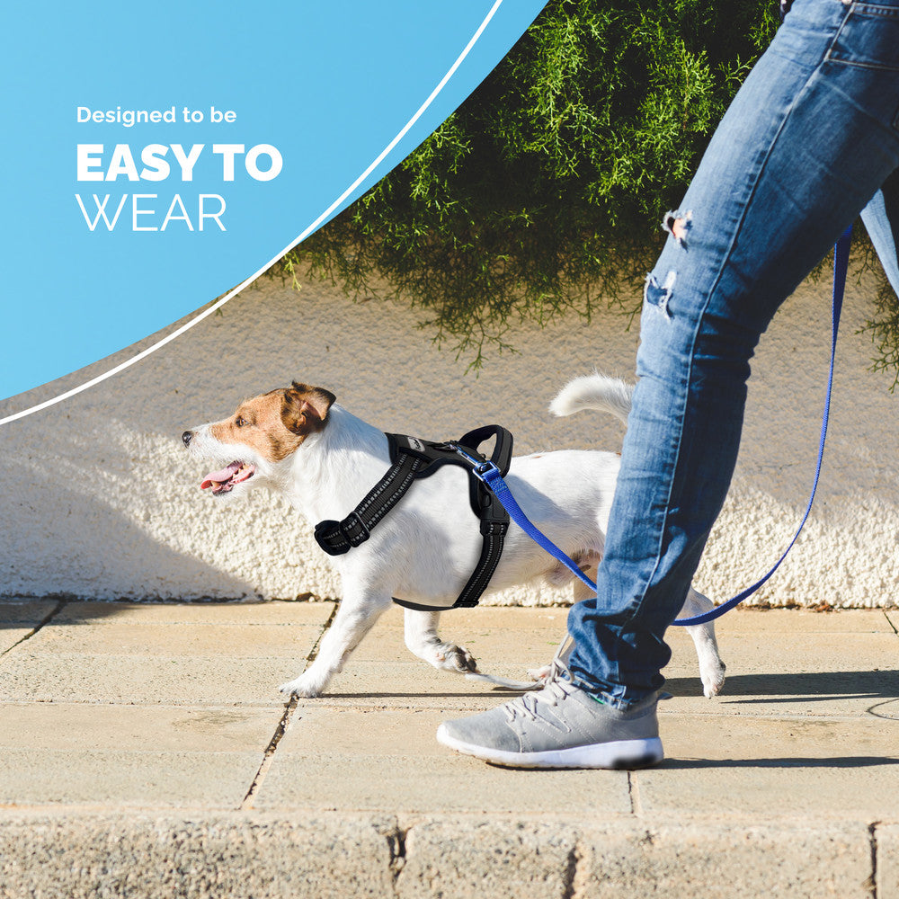 FurDreams Secure Padded Dog Harness – Comfortable No-Choke Vest with Reflective Strips, Non-Restrictive Fit, 4 Adjustable Straps, and Easy Clip-On Design – image 10