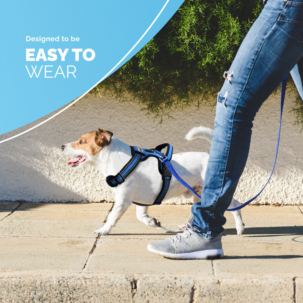 FurDreams Secure Padded Dog Harness – Comfortable No-Choke Vest with Reflective Strips, Non-Restrictive Fit, 4 Adjustable Straps, and Easy Clip-On Design – image 22