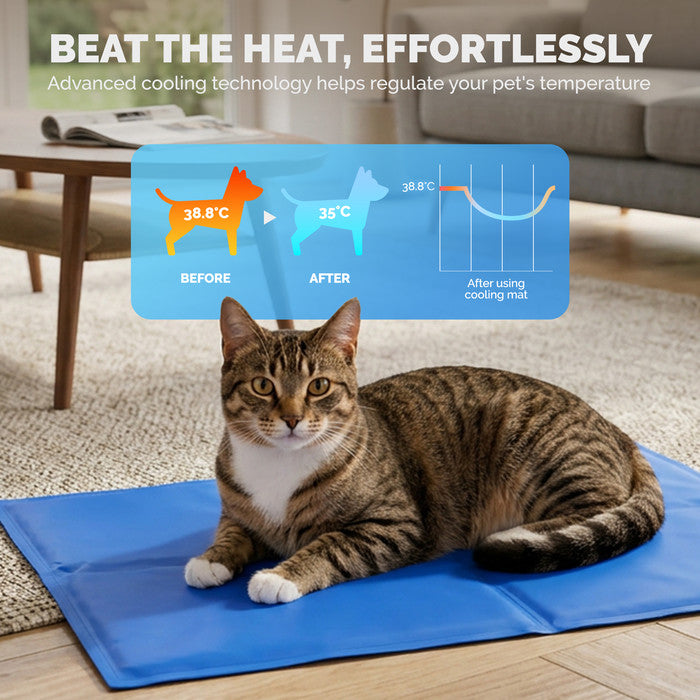 FurDreams Plain Pet Cooling Mat Small
