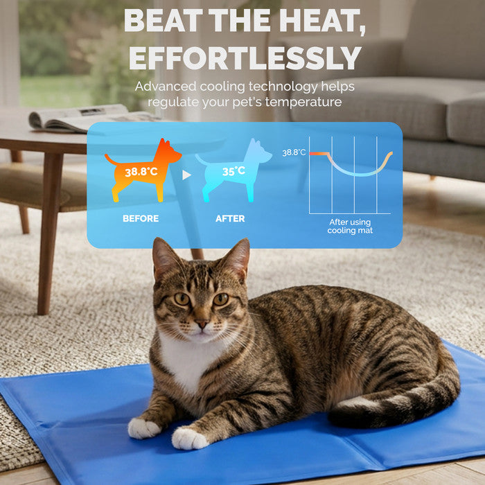 FurDreams Plain Pet Cooling Mat Small