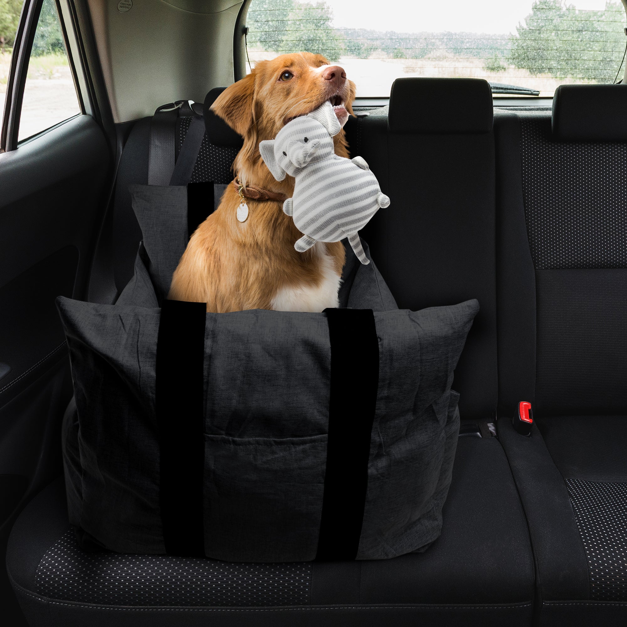 Portable dog car seat best sale