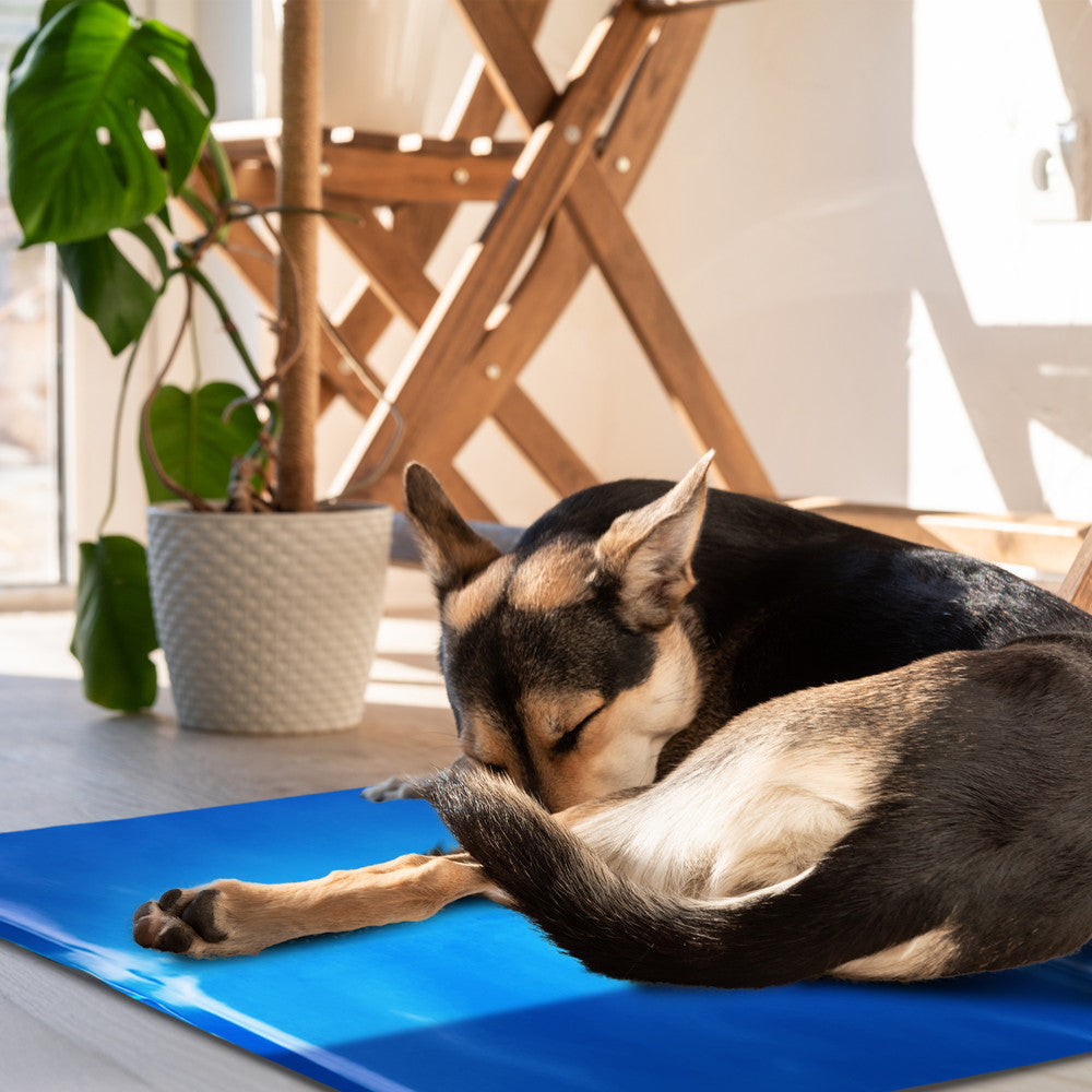 FurDreams Pineapple Pet Cooling Mat – Waterproof Gel Pillow Pad for Dogs and Cats, 75x120cm – Prevent Overheating and Keep Cool During Summer Rest