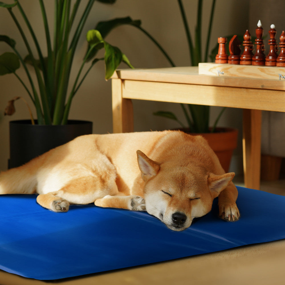 FurDreams Pineapple Pet Cooling Mat – Waterproof Gel Pillow Pad for Dogs and Cats, 75x120cm – Prevent Overheating and Keep Cool During Summer Rest