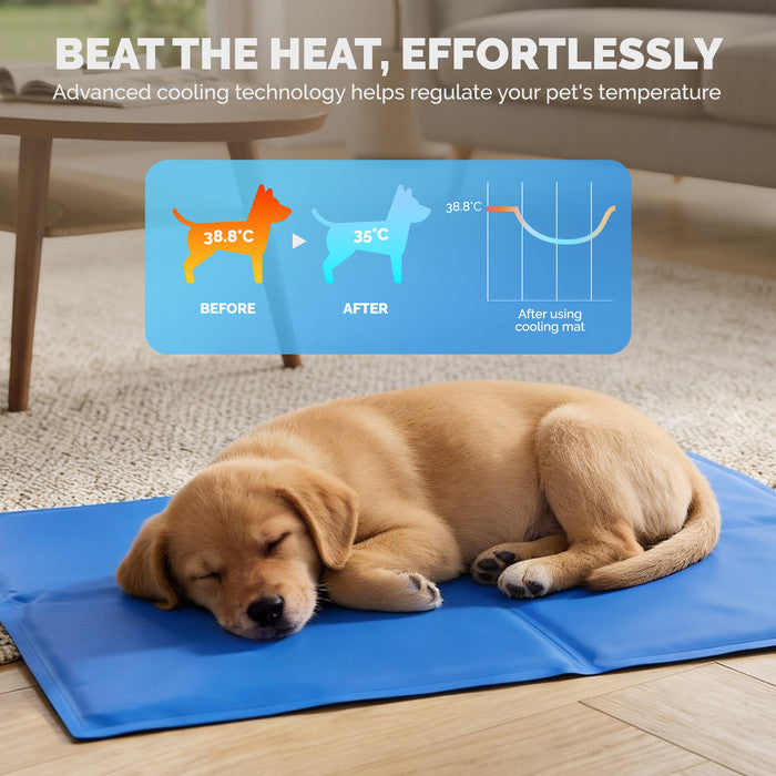 FurDreams Plain Pet Cooling Mat for Dogs Cats Medium