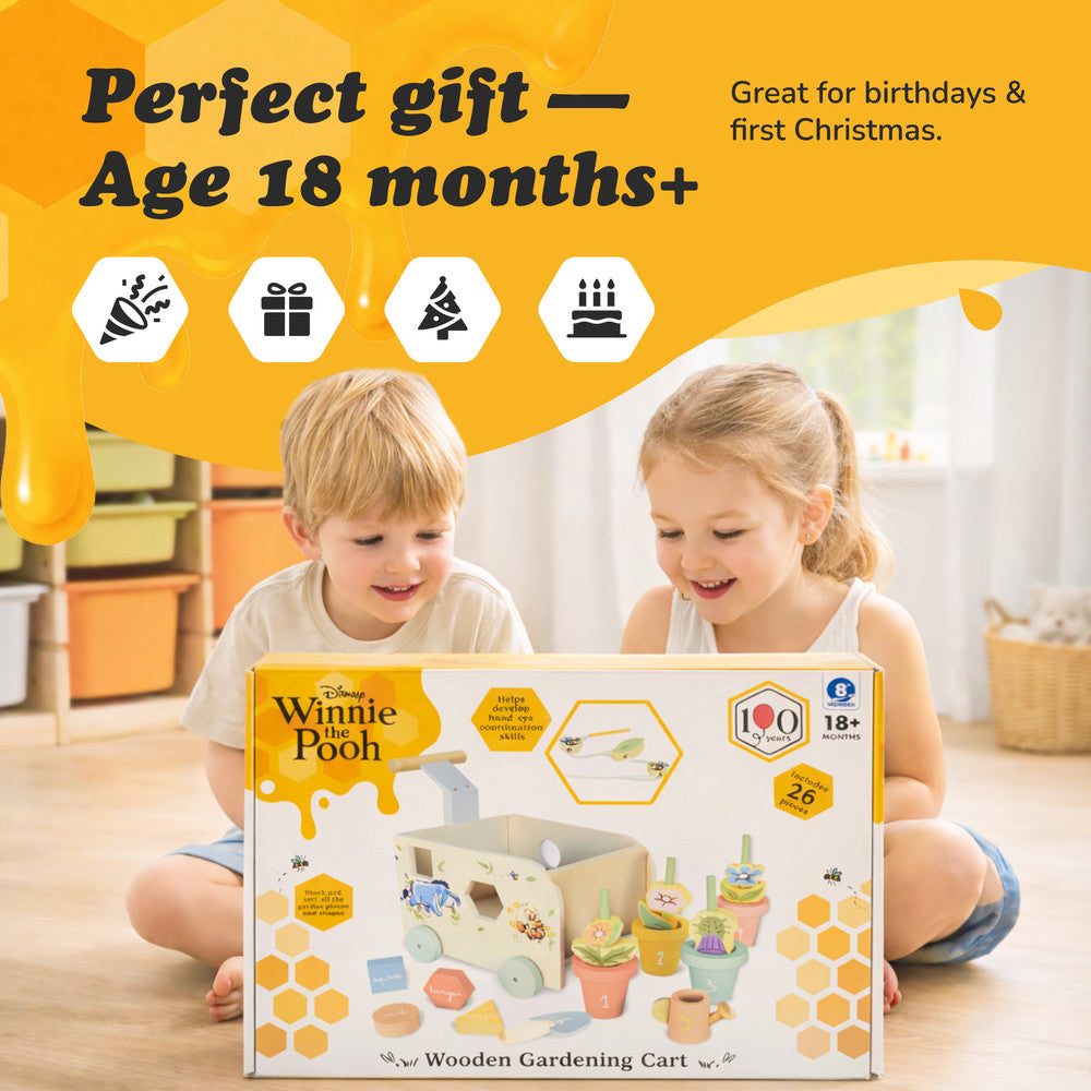 Winnie the Pooh pull along shape sorter toy — outdoor lifestyle play shot