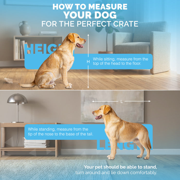 FurDreams Heavy Duty Dog Crate – Black Metal Folding Cage with Dual Doors, Chew-Resistant Plastic Tray, and Carry Handle – Perfect for Puppy Training