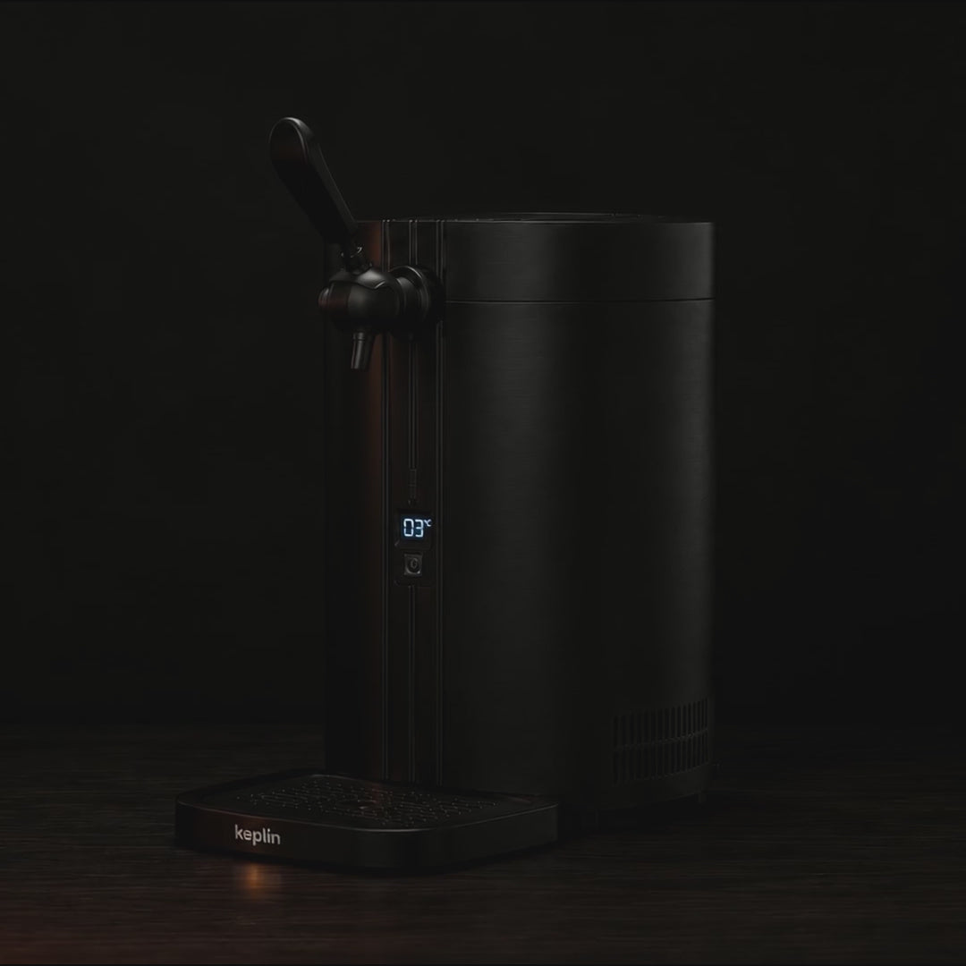 Load video: 5L Beer Keg Dispenser for Home Bar